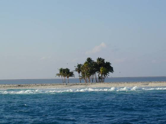 L’île de la Passion, un atoll français bientôt protégé